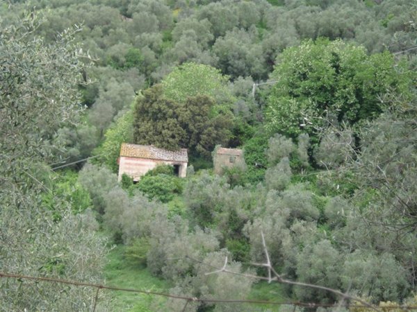 esavano in vendita a Grosseto