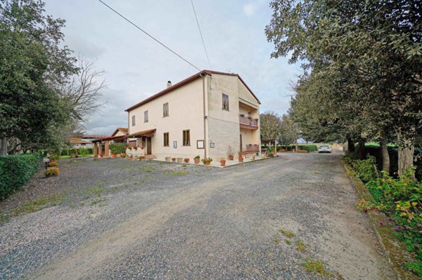 azienda agricola in vendita a Grosseto