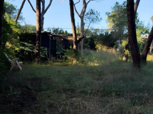 casa indipendente in vendita a Grosseto in zona Marina di Grosseto