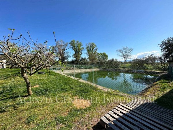terreno agricolo in vendita a Grosseto