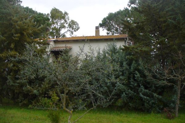 casa indipendente in vendita a Grosseto