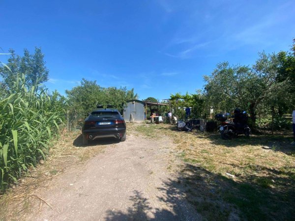 terreno agricolo in vendita a Grosseto