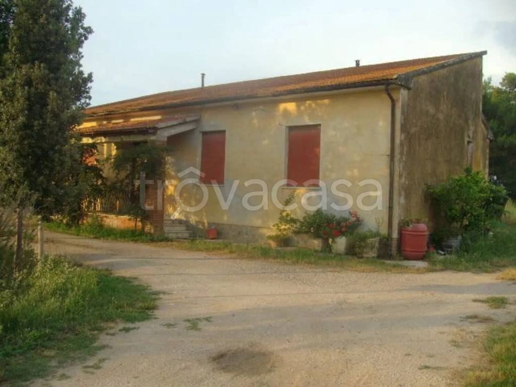 casa indipendente in vendita a Grosseto in zona Braccagni