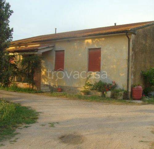 casa indipendente in vendita a Grosseto in zona Braccagni