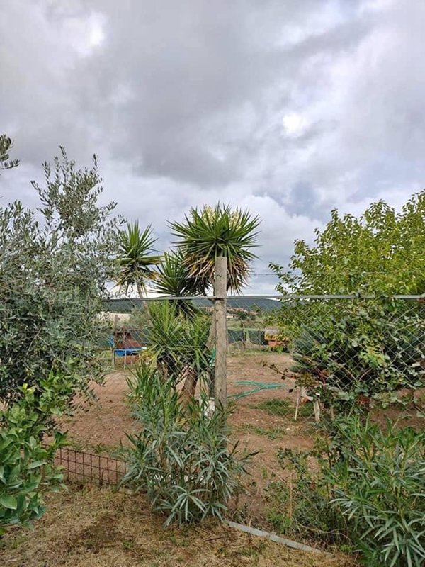 terreno agricolo in vendita a Grosseto