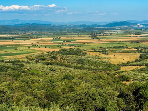 casale in vendita a Grosseto