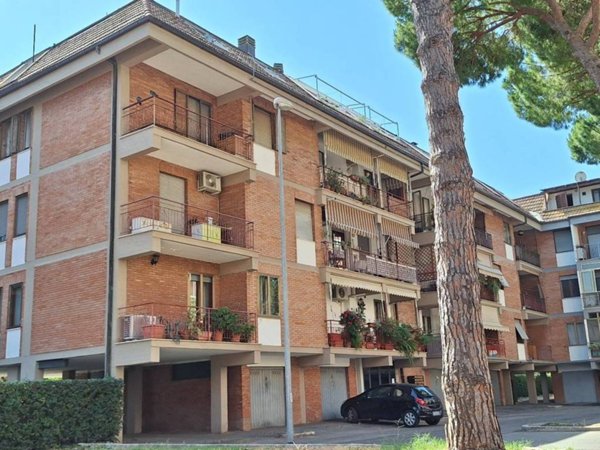 appartamento in vendita a Grosseto