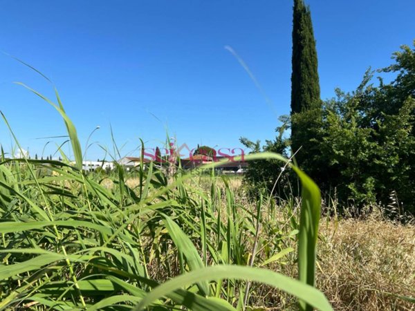 negozio in vendita a Grosseto