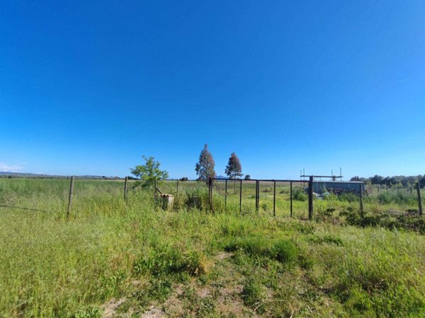 terreno agricolo in vendita a Grosseto