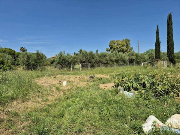 terreno agricolo in vendita a Grosseto