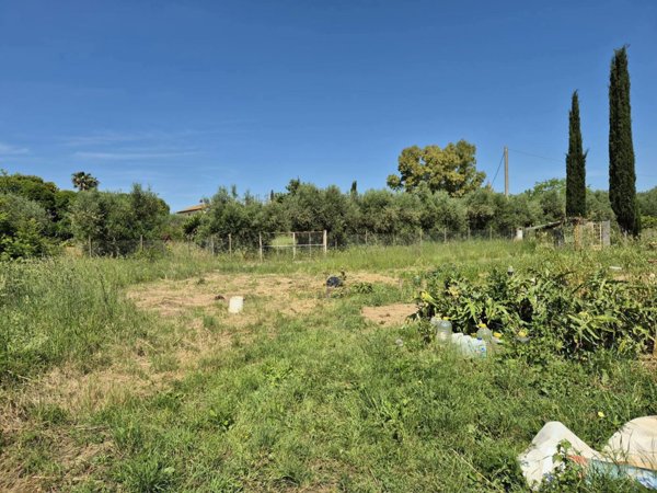 terreno agricolo in vendita a Grosseto
