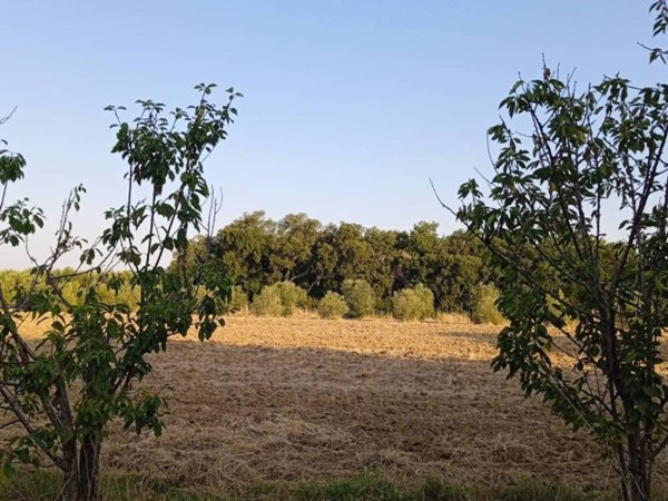 casa indipendente in vendita a Grosseto