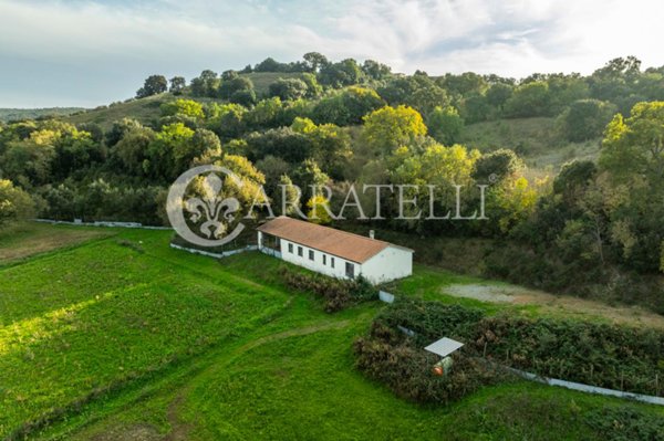 casale in vendita a Grosseto