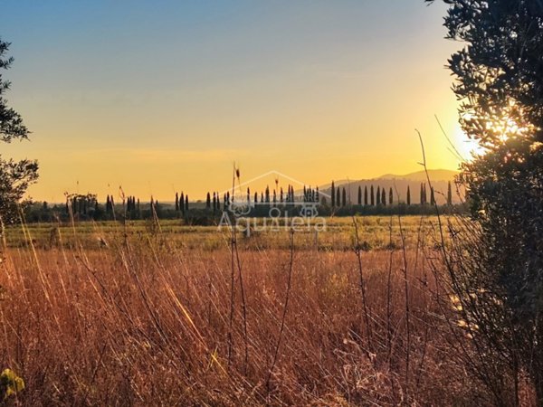 terreno agricolo in vendita a Grosseto