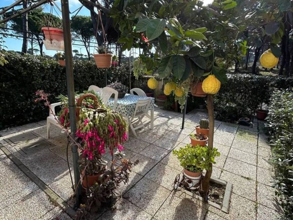 appartamento in vendita a Grosseto in zona Marina di Grosseto