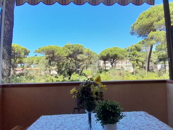 appartamento in vendita a Grosseto in zona Principina a Mare