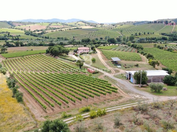 negozio in vendita a Grosseto