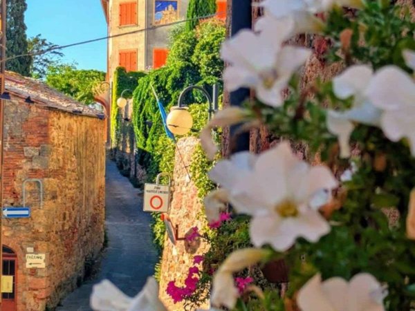 appartamento in vendita a Grosseto in zona Montepescali