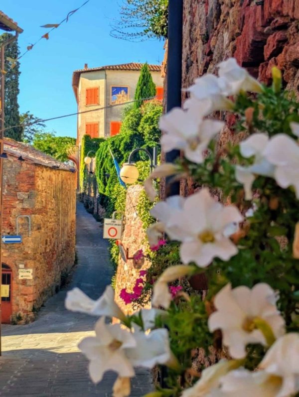appartamento in vendita a Grosseto in zona Montepescali