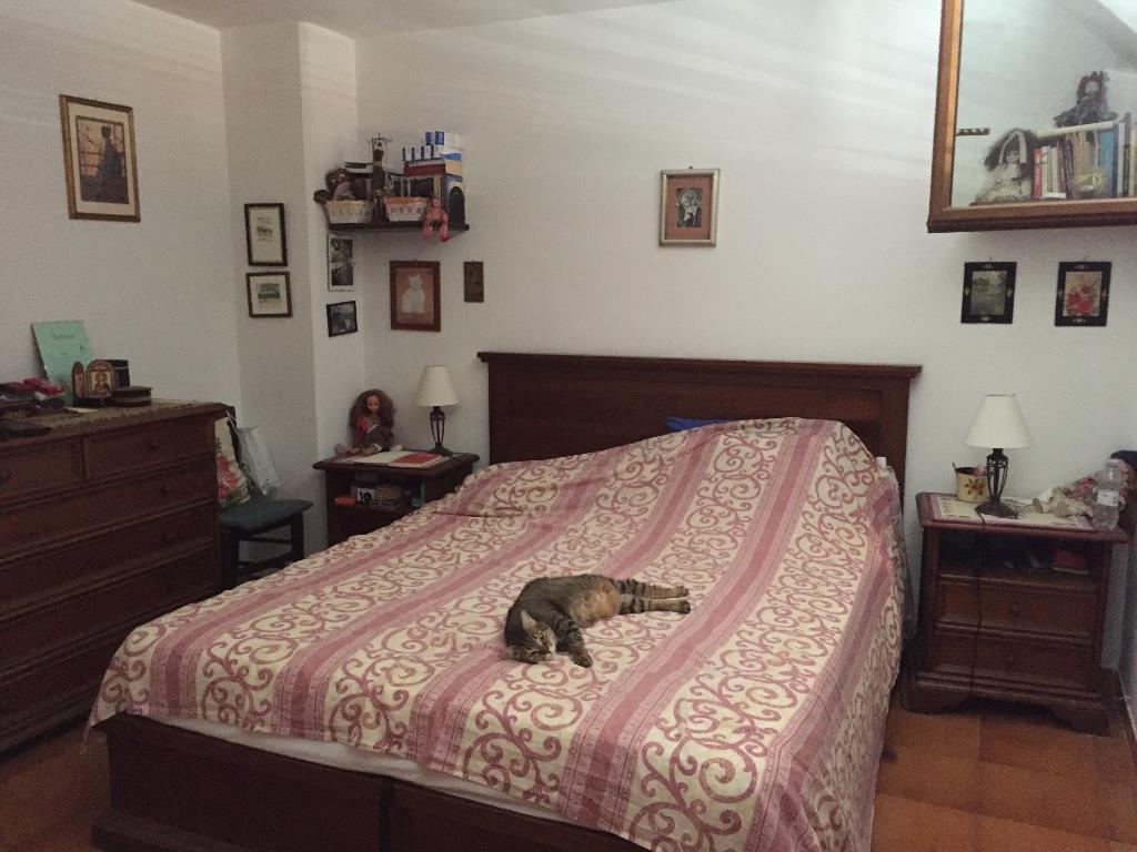 appartamento in vendita a Grosseto