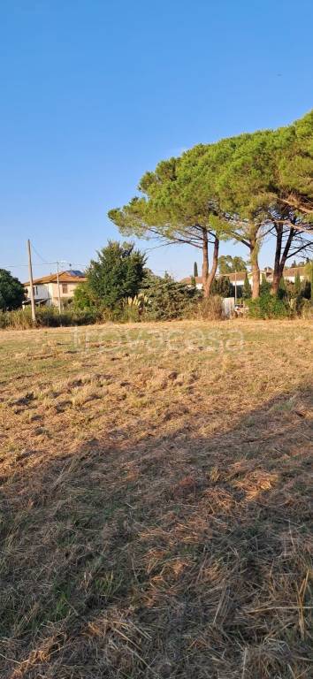 terreno agricolo in vendita a Grosseto in zona La Principina