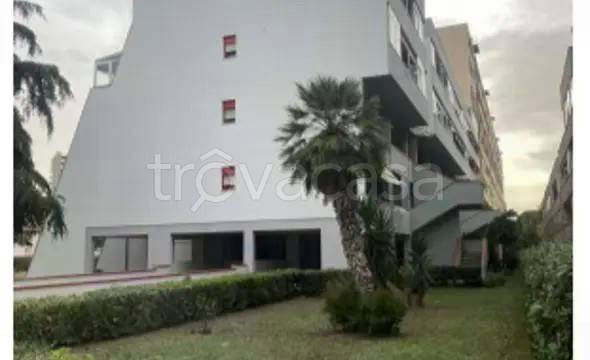 appartamento in vendita a Grosseto