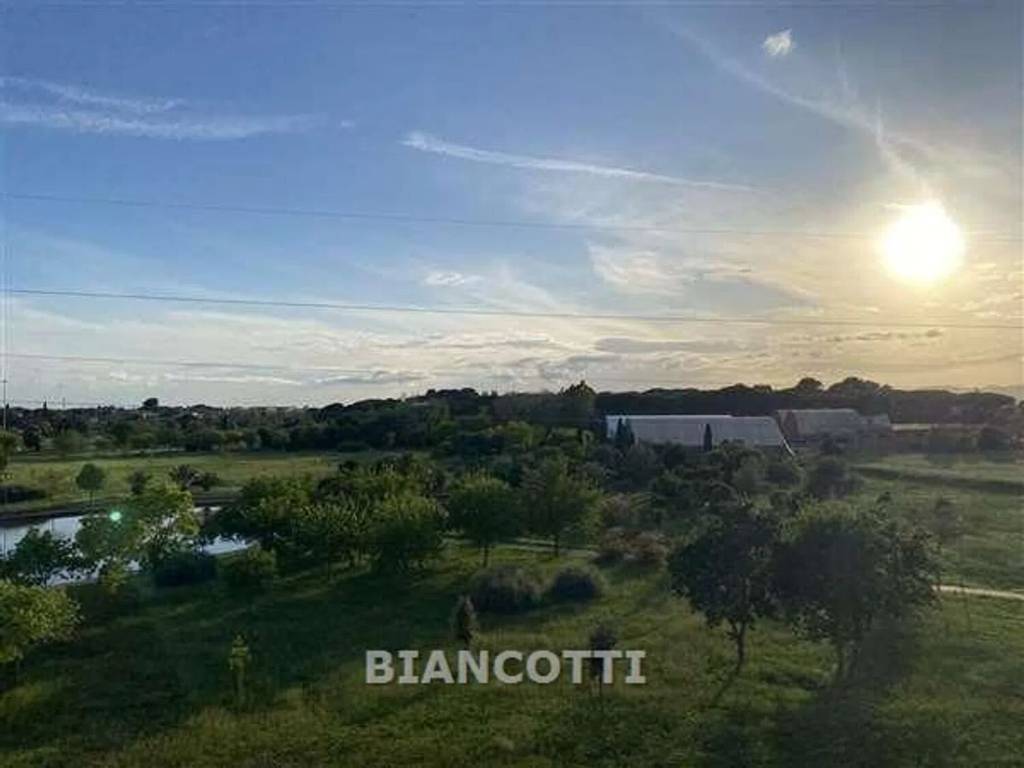 appartamento in vendita a Grosseto in zona Stadio