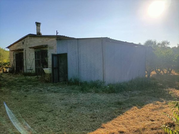 terreno agricolo in vendita a Grosseto