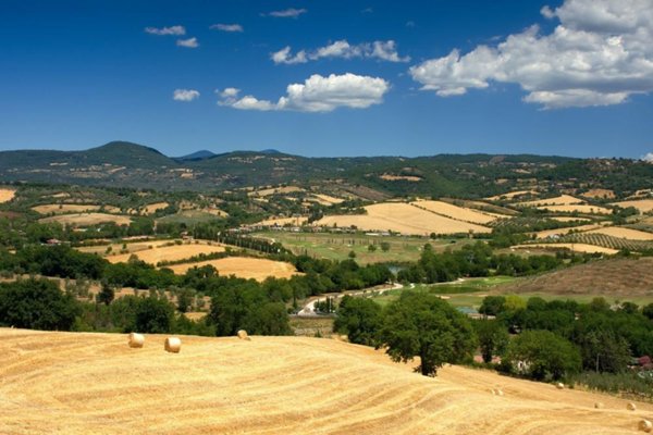 casa indipendente in vendita a Grosseto