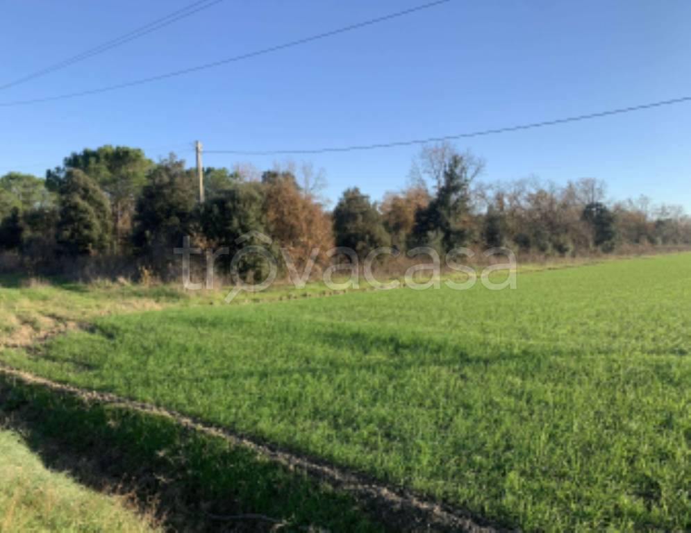 appartamento in vendita a Grosseto in zona La Principina