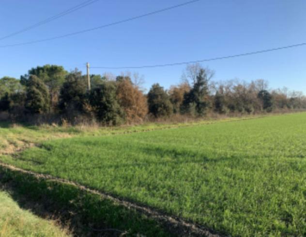 casa indipendente in vendita a Grosseto in zona Centro Città
