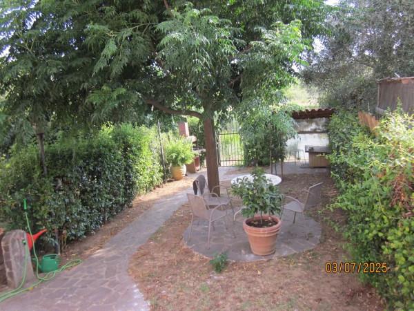 casa indipendente in vendita a Grosseto in zona Roselle