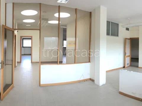 appartamento in vendita a Grosseto