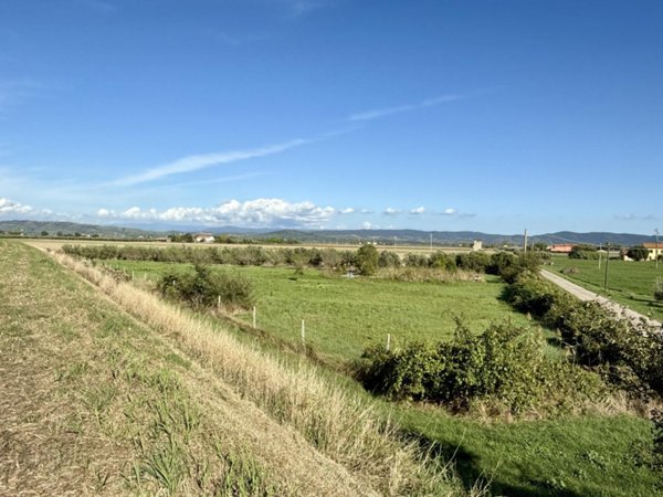 terreno agricolo in vendita a Grosseto in zona Alberese