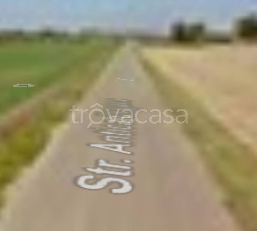 terreno agricolo in vendita a Grosseto in zona Alberese