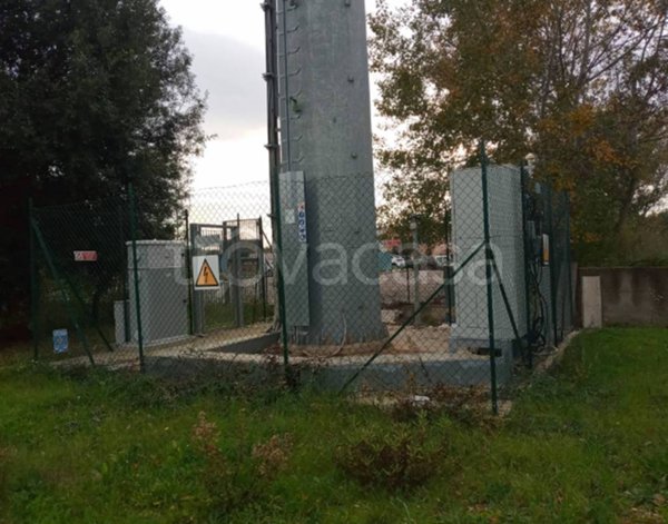 terreno agricolo in vendita a Grosseto in zona Istia d'Ombrone-Le Stiacciole