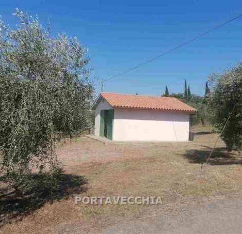 terreno agricolo in vendita a Grosseto