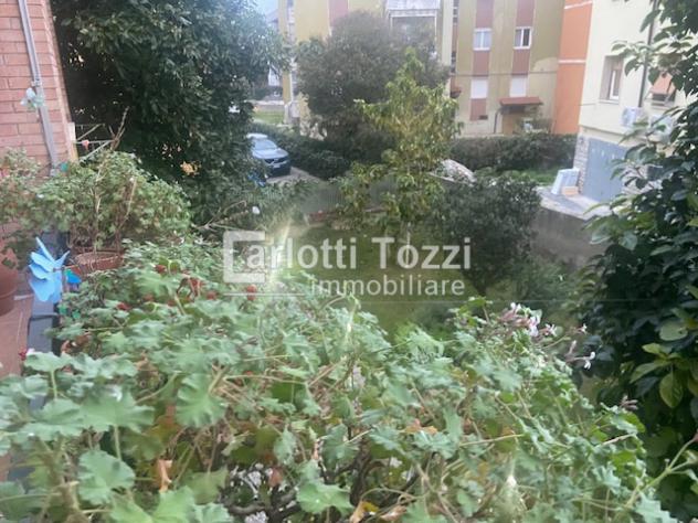 appartamento in vendita a Grosseto in zona Stadio