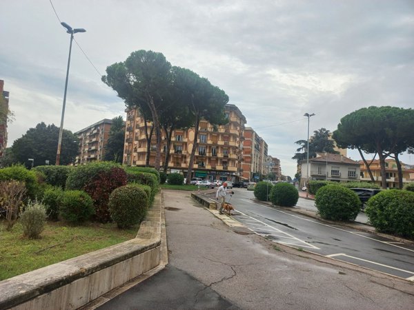 appartamento in vendita a Grosseto