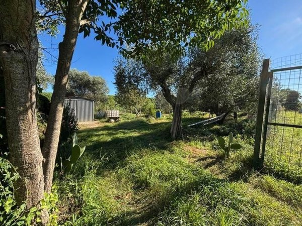 terreno agricolo in vendita a Grosseto in zona Marina di Grosseto