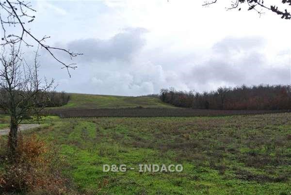 terreno agricolo in vendita a Grosseto in zona Alberese
