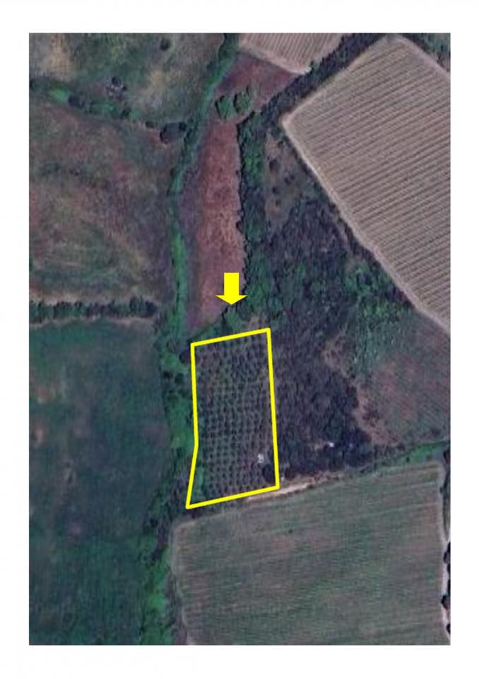 locale di sgombero in vendita a Grosseto