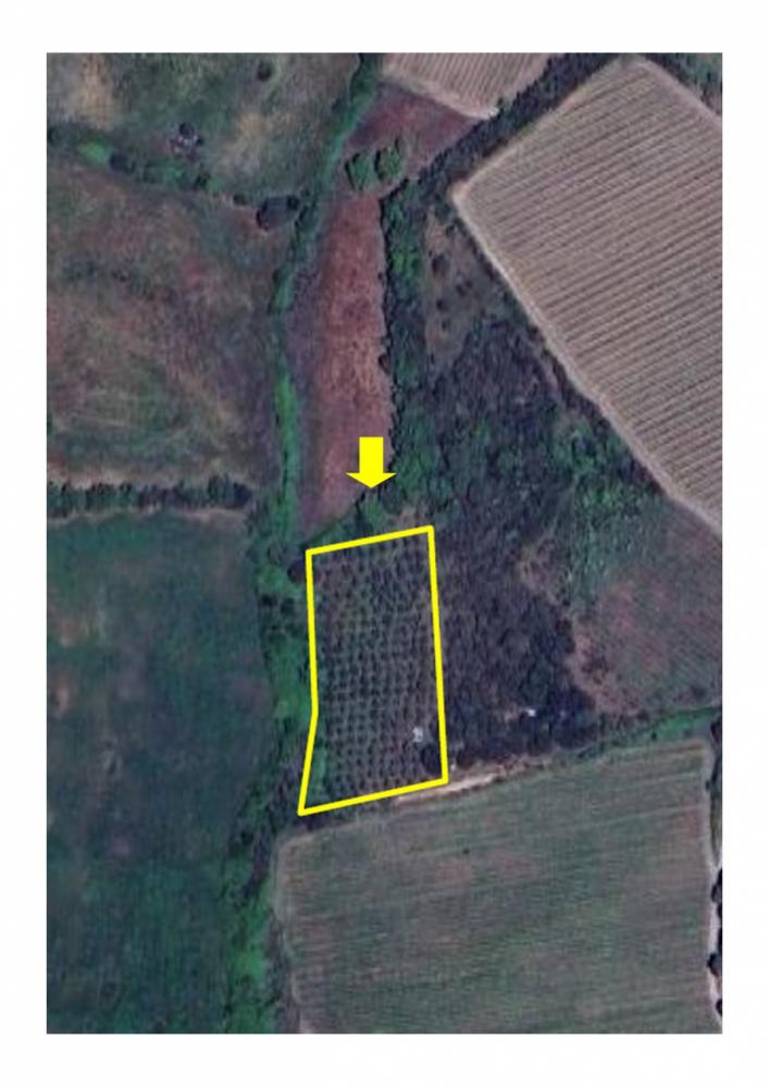 locale di sgombero in vendita a Grosseto
