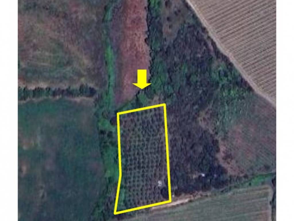 locale di sgombero in vendita a Grosseto