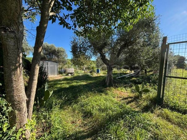 terreno agricolo in vendita a Grosseto in zona Marina di Grosseto