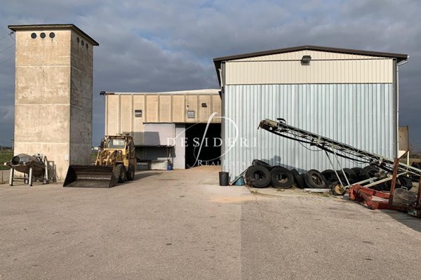 azienda agricola in vendita a Grosseto in zona Principina a Terra