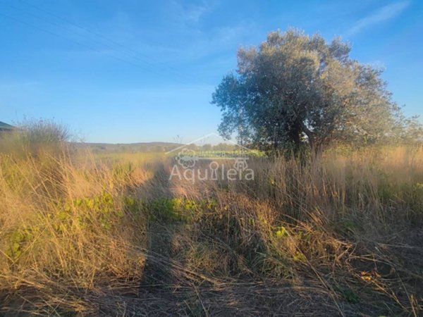terreno agricolo in vendita a Grosseto
