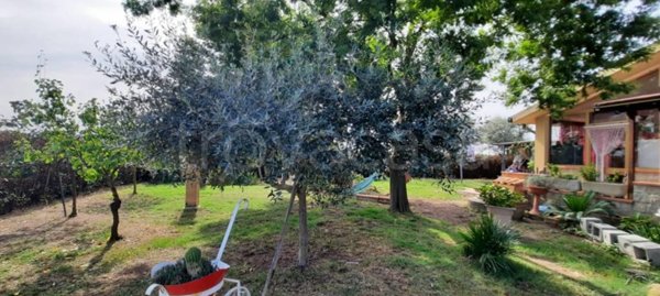 casa indipendente in vendita a Grosseto in zona Braccagni