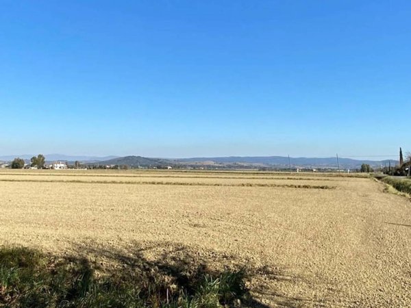 terreno agricolo in vendita a Grosseto in zona Alberese