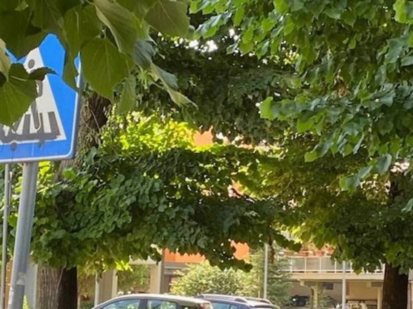 appartamento in vendita a Grosseto